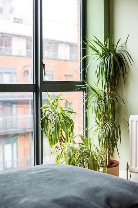 Spacious Belfast City Centre Duplex Apartment ภายนอก รูปภาพ